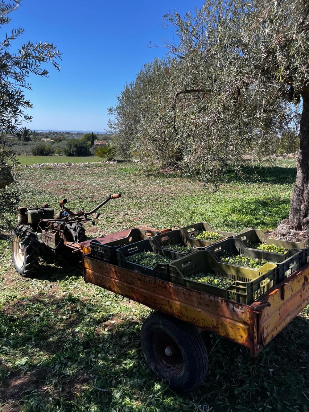 La Bella Vita Agriturismo Киарамонте Гулфи Екстериор снимка